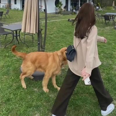 魂：恐怖的开始